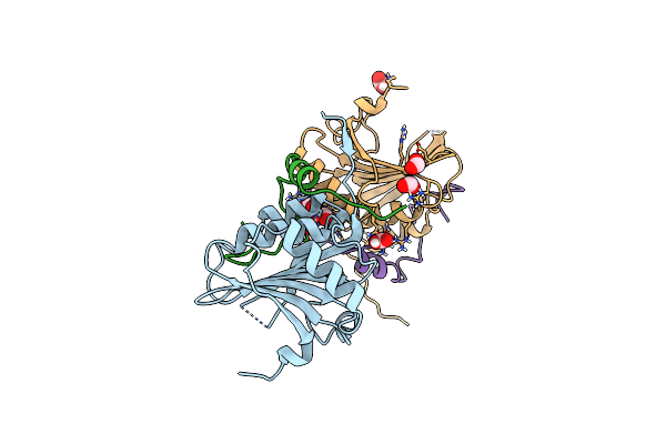 5NVN image