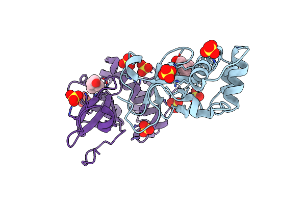 5NVO image