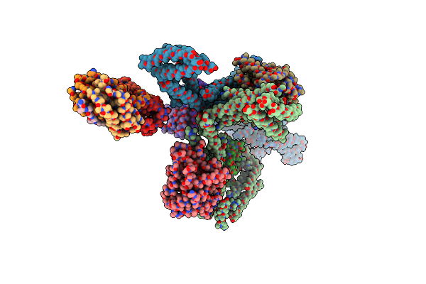 5NVS image
