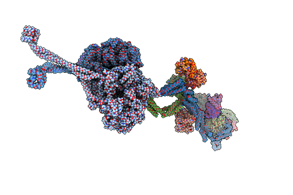 5NVU image