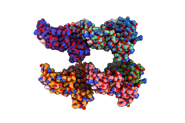 5NVV image