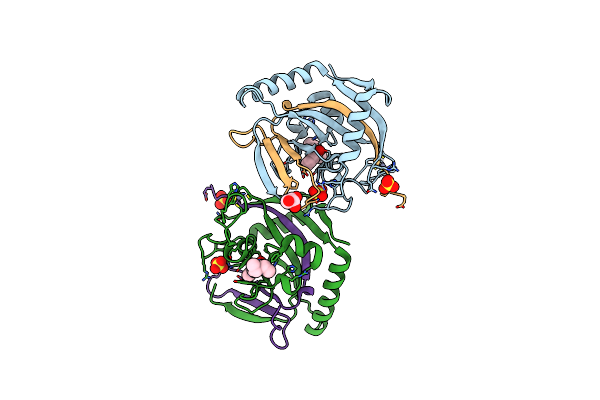 5NWD image