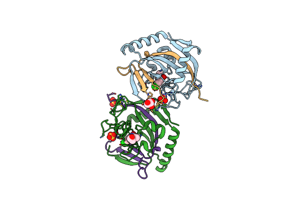 5NWG image