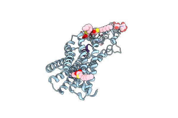 5NX2 image