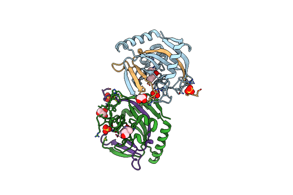 5NXE image