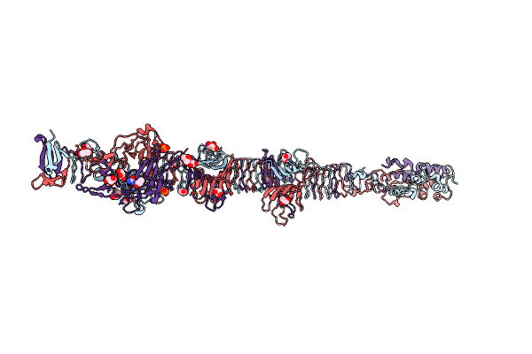 5NXF image