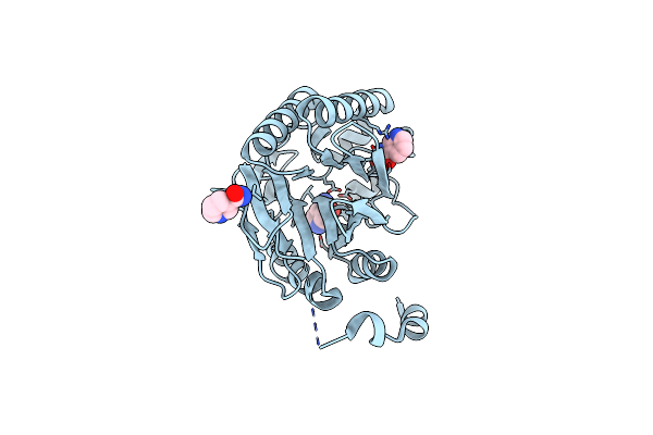 5NY7 image
