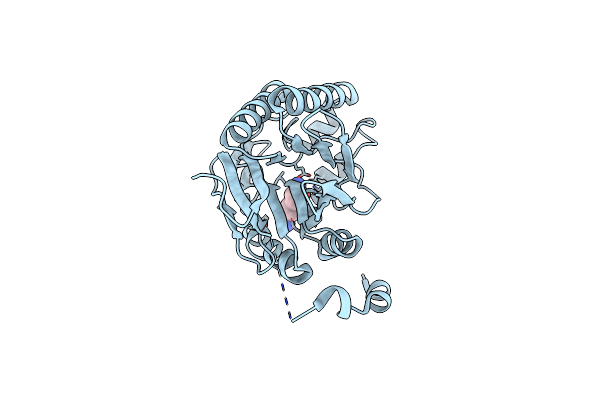 5NYB image
