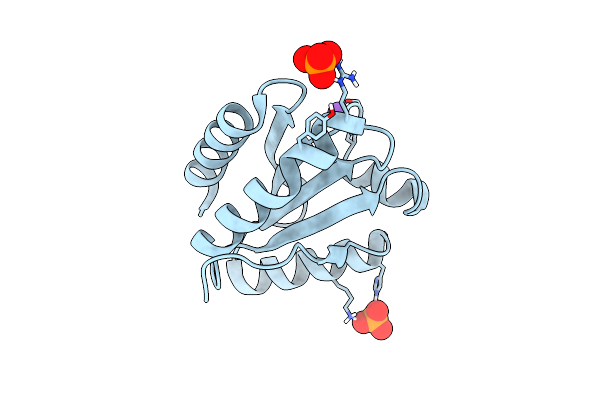 5NYK image