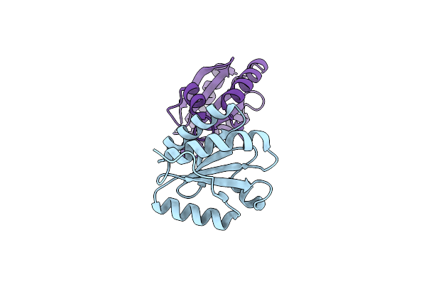 5NYL image