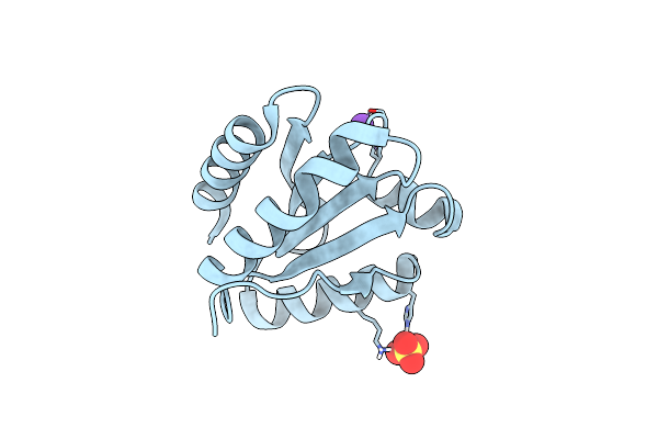 5NYM image