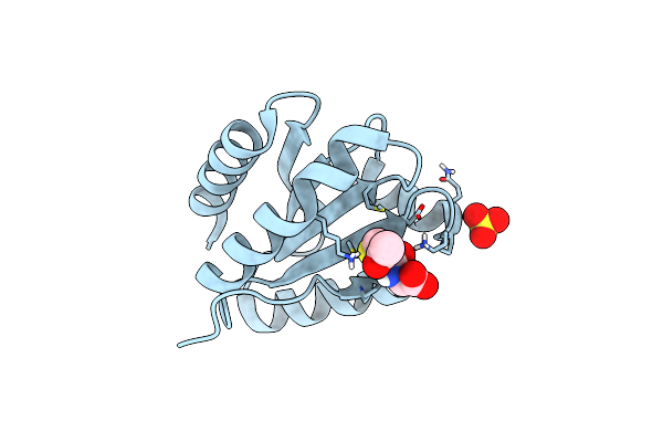 5NYN image