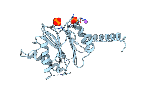 5NYP image
