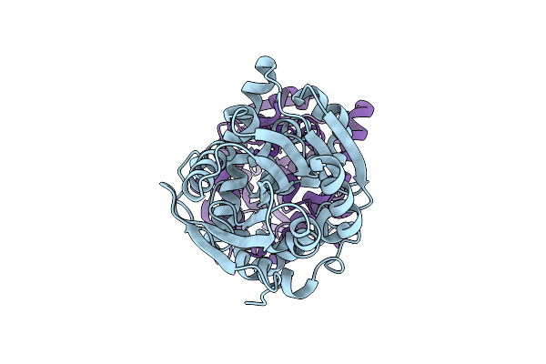 5NYV image