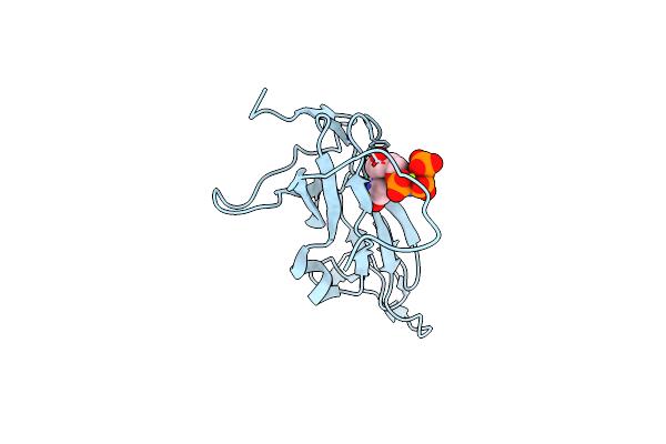 5NZ2 image