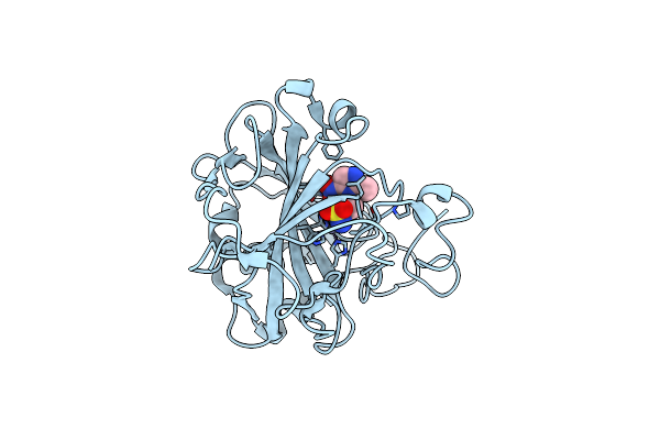 5O07 image
