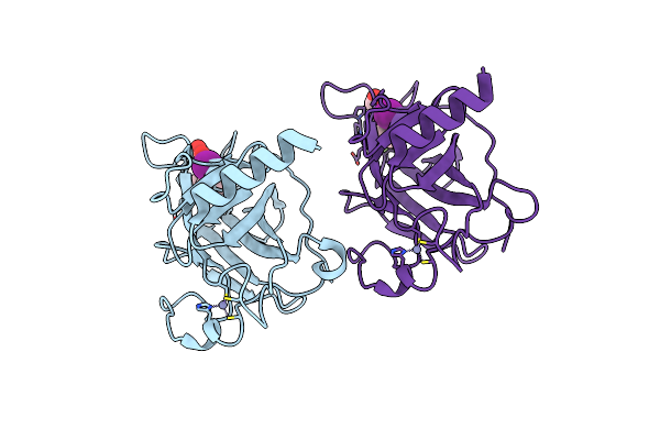 5O1C image