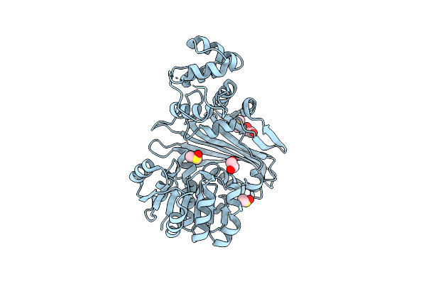 5O1P image