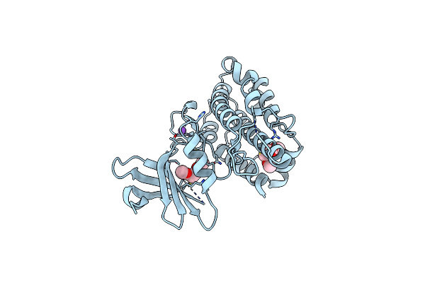 5O1S image
