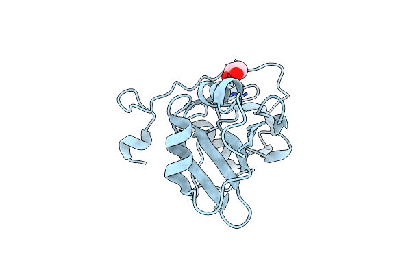 5O1W image