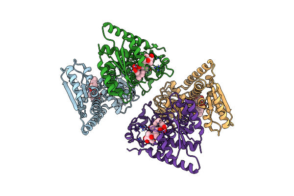5O22 image