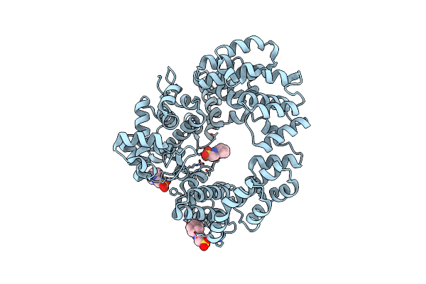 5O24 image