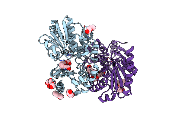 5O25 image