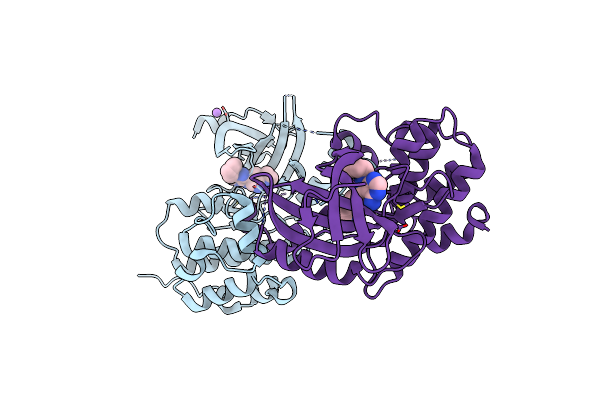 5O2B image