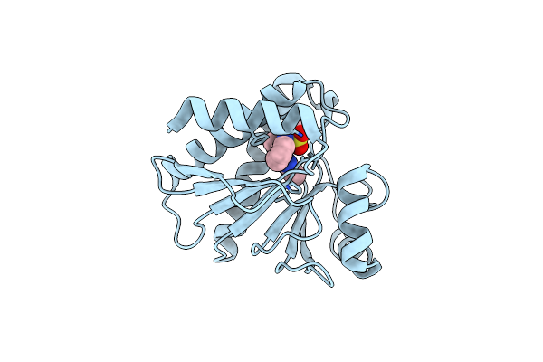 5O2D image