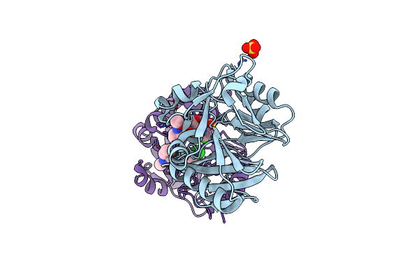 5O2E image