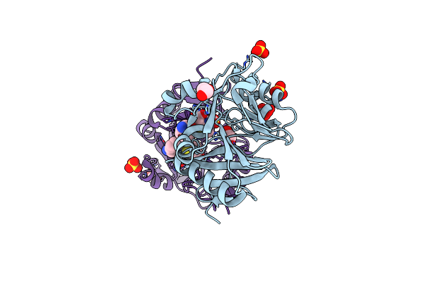 5O2F image
