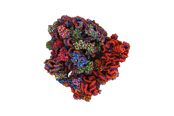 5O2R image