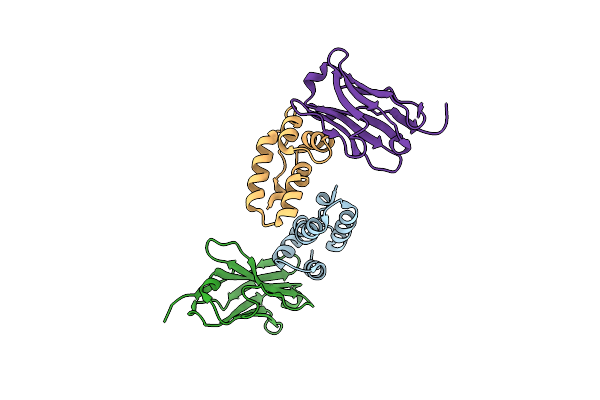5O2U image