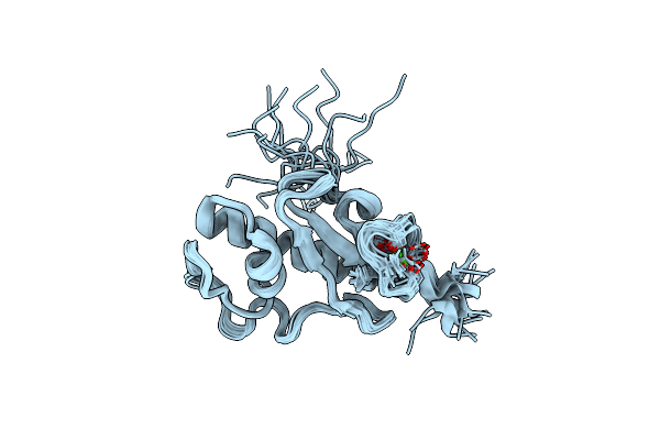 5O2Y image
