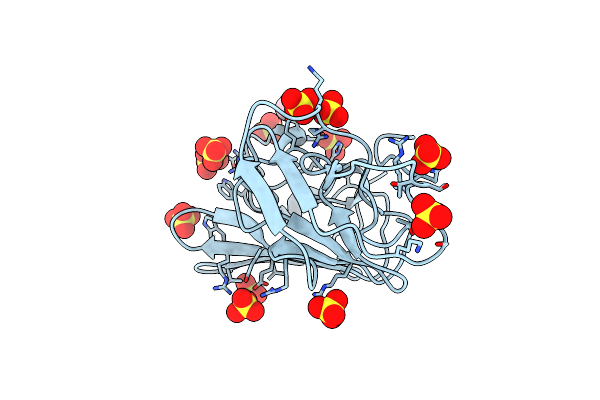 5O36 image