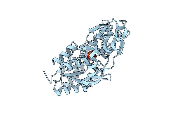 5O37 image