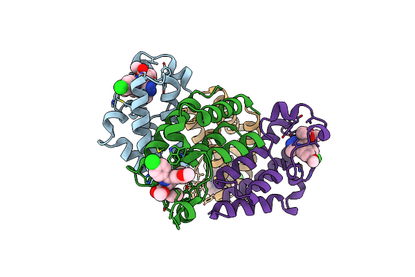 5O3B image