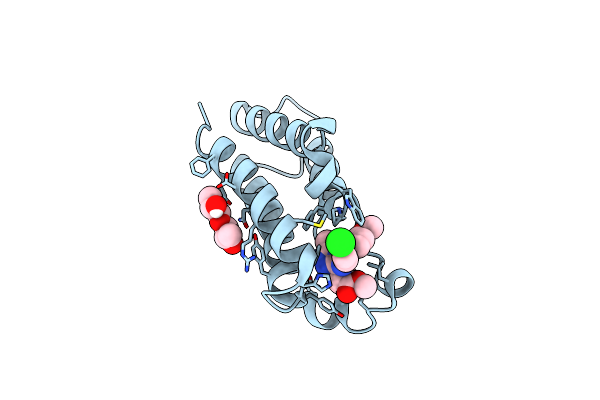 5O3D image