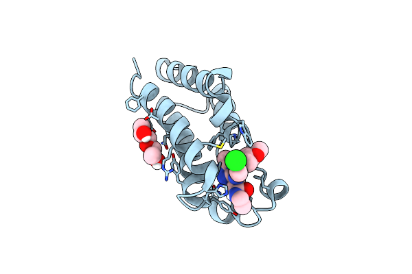 5O3E image