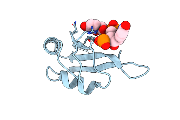 5O3J image