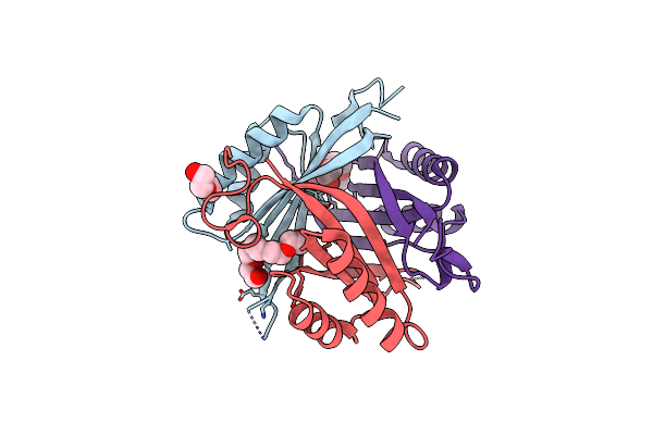 5O3P image