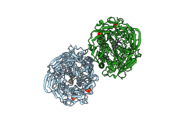 5O3V image