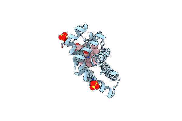 5O41 image