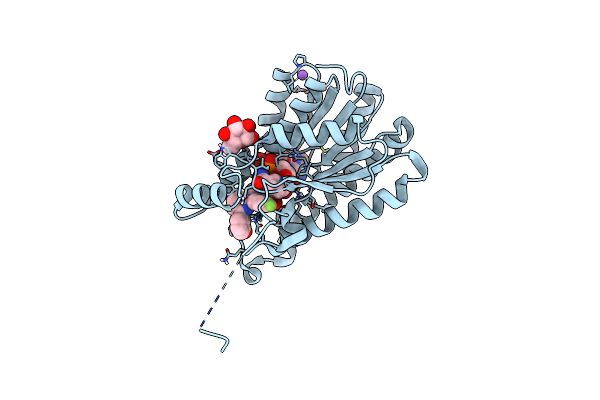 5O43 image