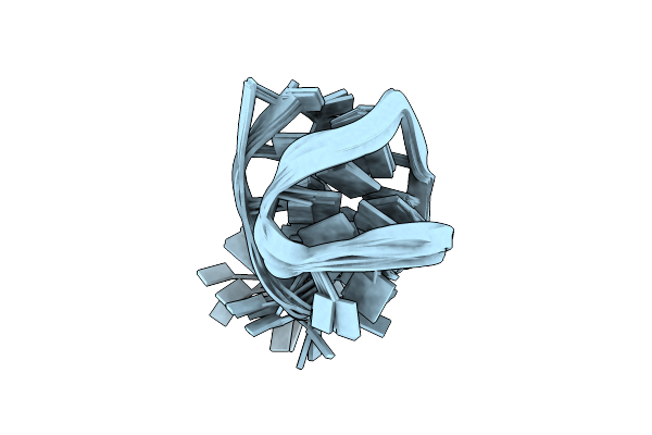5O4D image