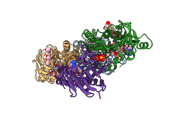 5O4J image