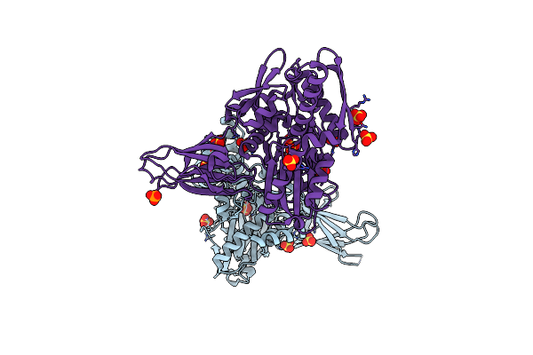 5O4P image