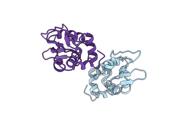5O4X image