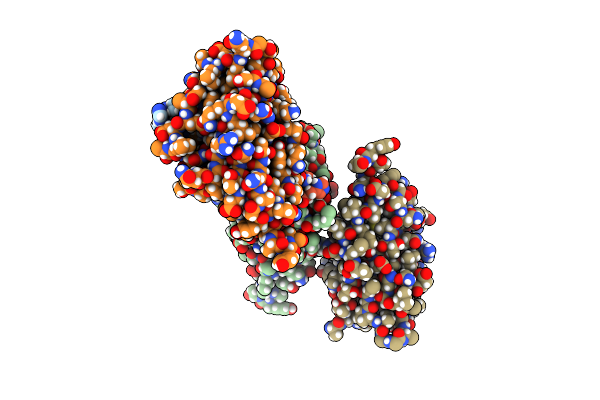 5O4Y image