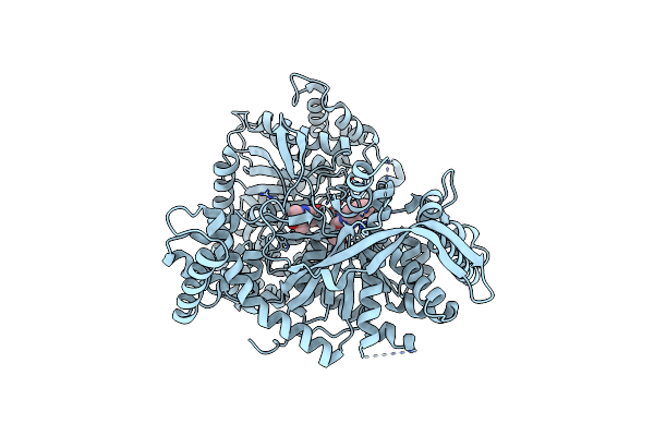 5O56 image